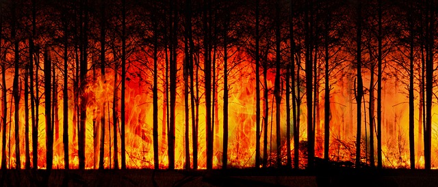 lesní požáry budou stále častější